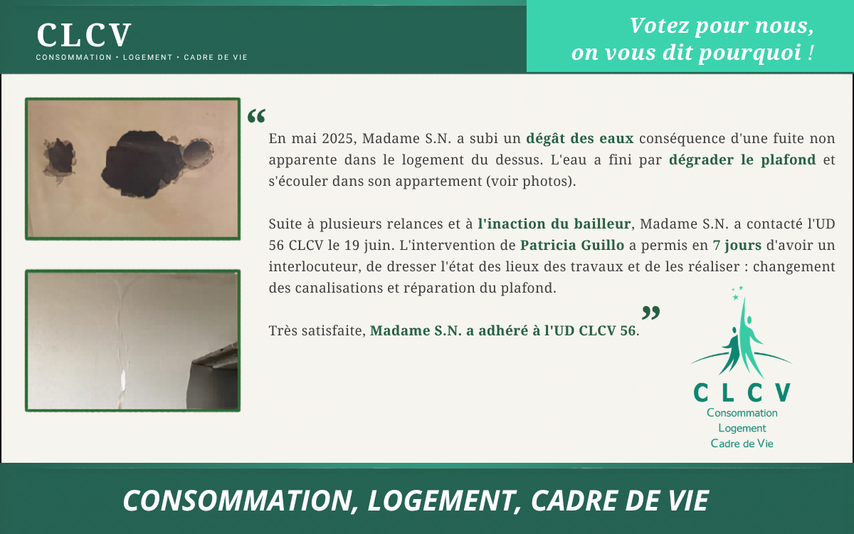 Votez pour nous, on vous dit pourquoi !